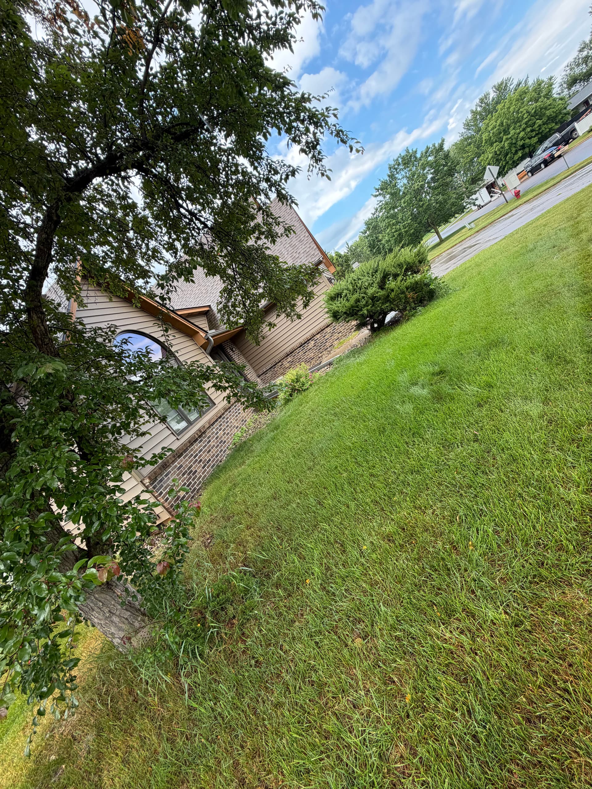 Full Landscape Tear-Out and Refresh in St. Joseph MN image