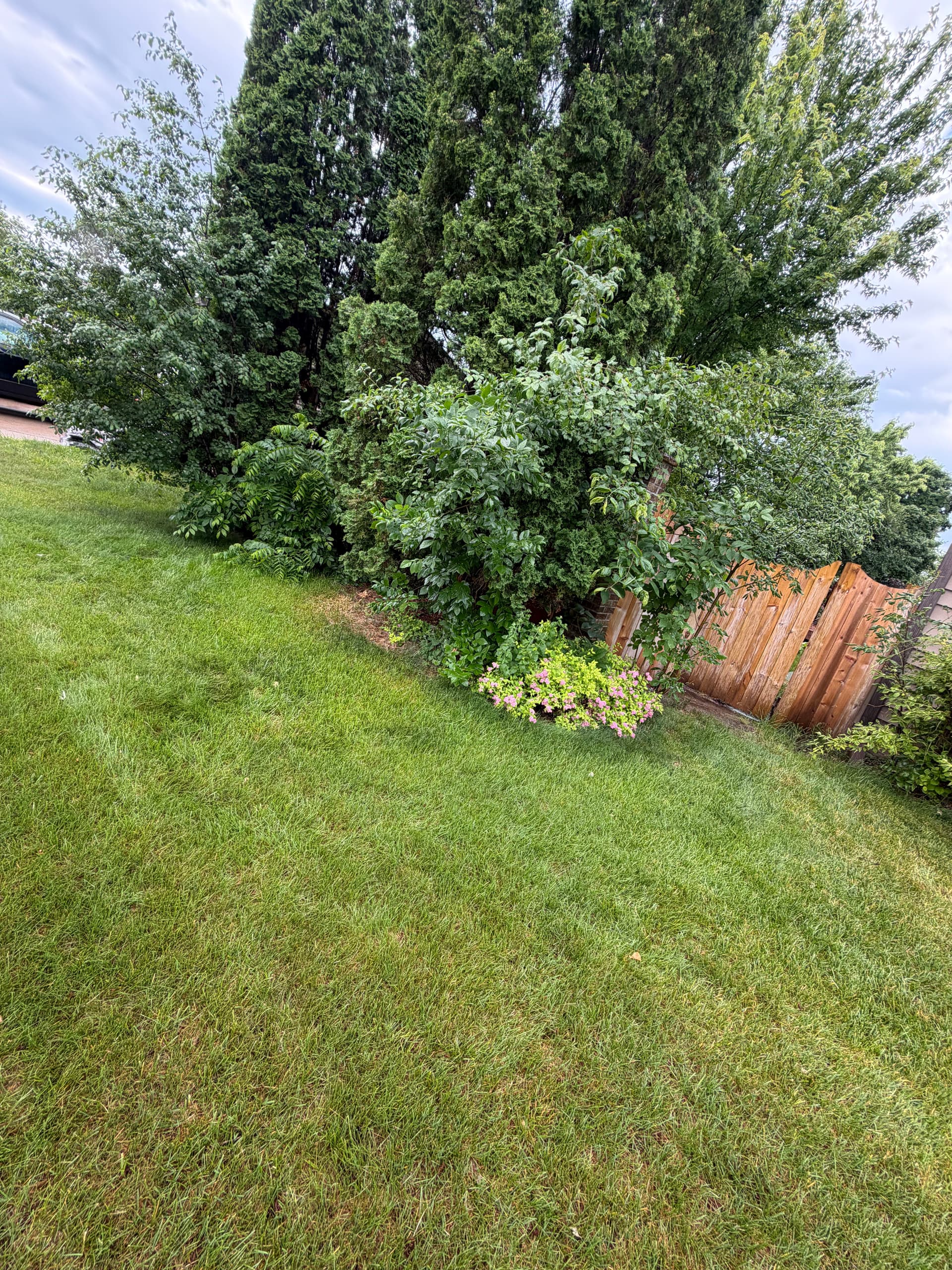 Gallery photos for Full Landscape Tear-Out and Refresh in St. Joseph MN: Image #2