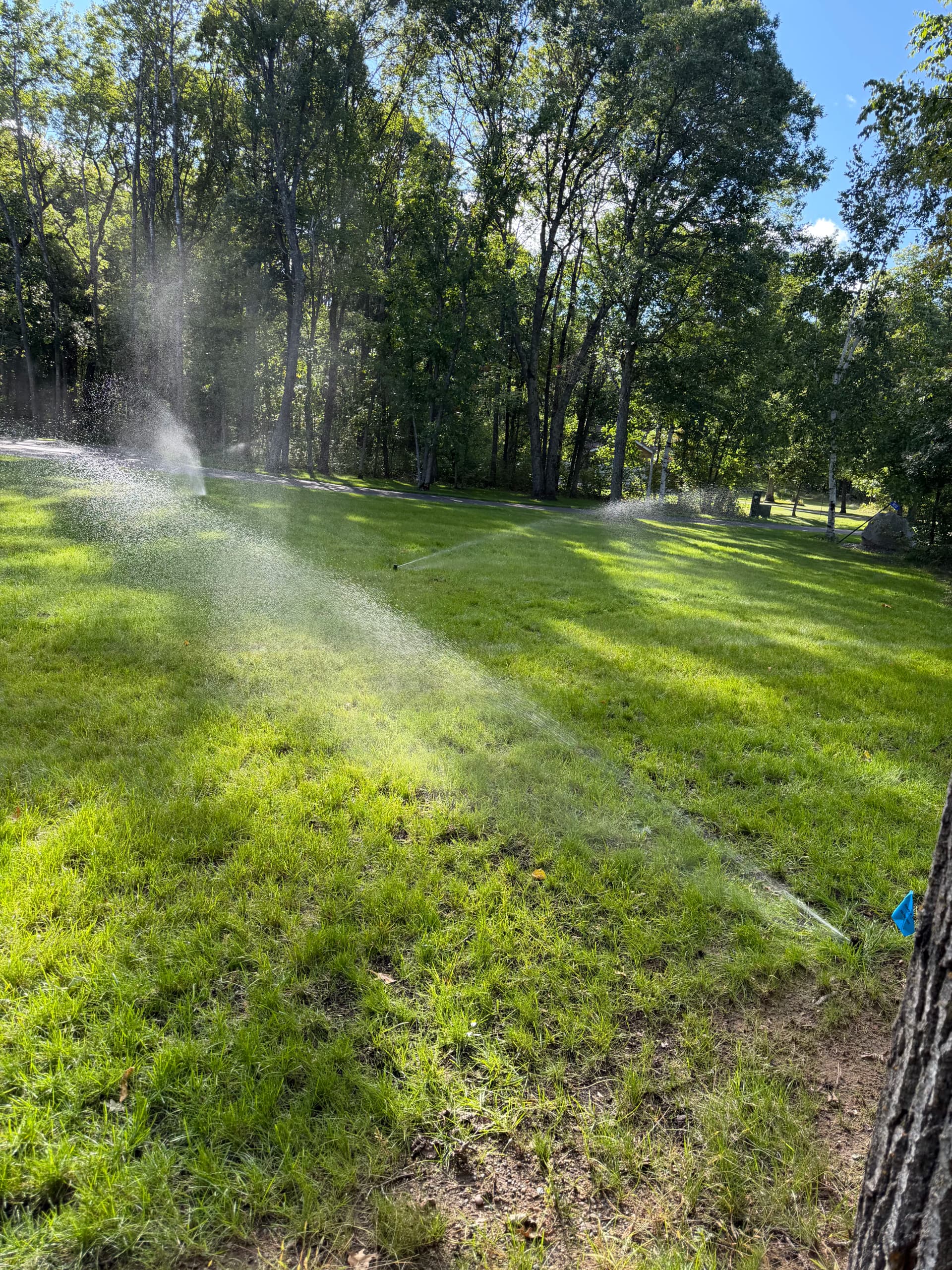 Brainerd Irrigation Install With a Follow-Up That Proves It Works