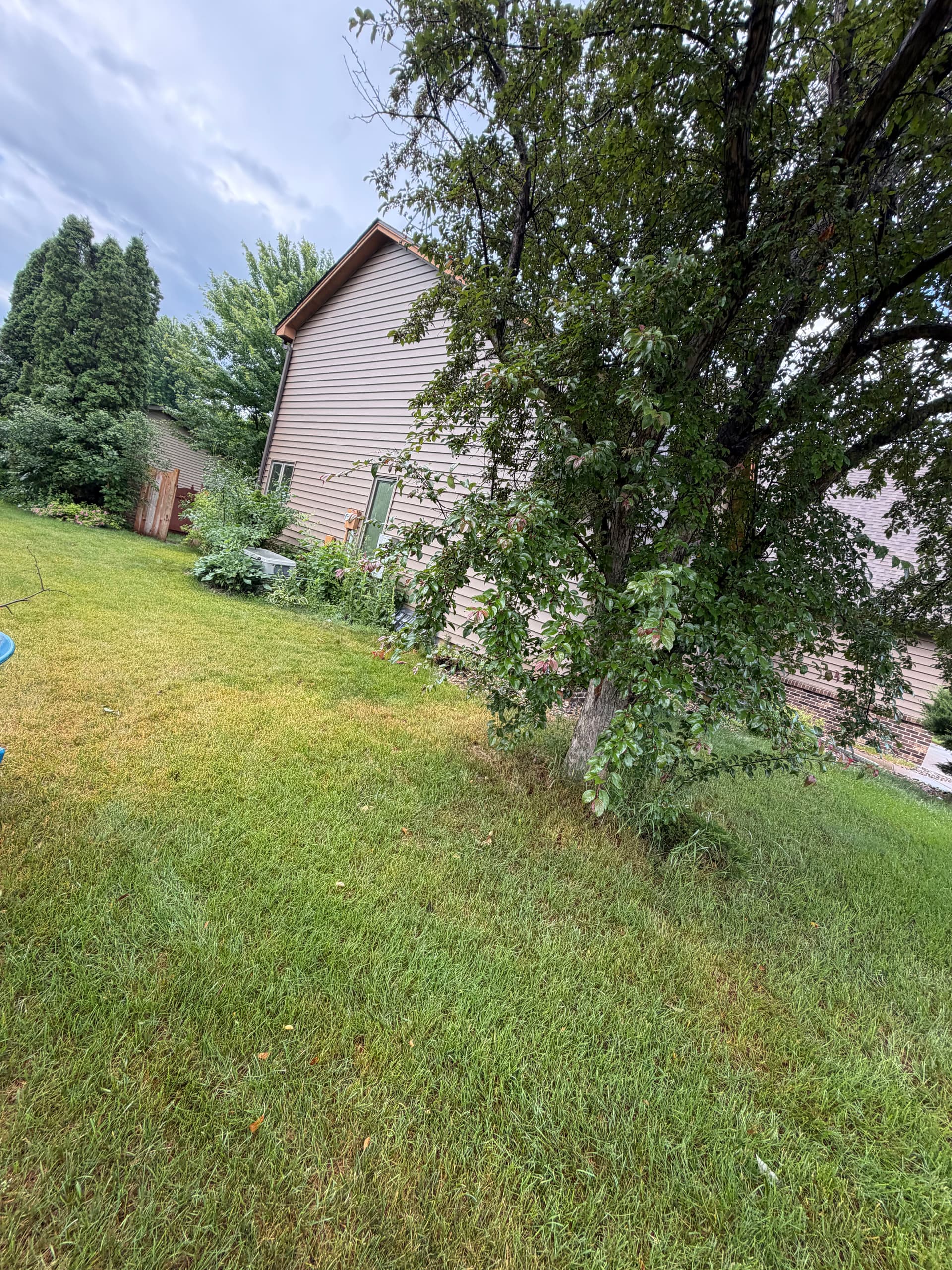 Gallery photos for Full Landscape Tear-Out and Refresh in St. Joseph MN: Image #1