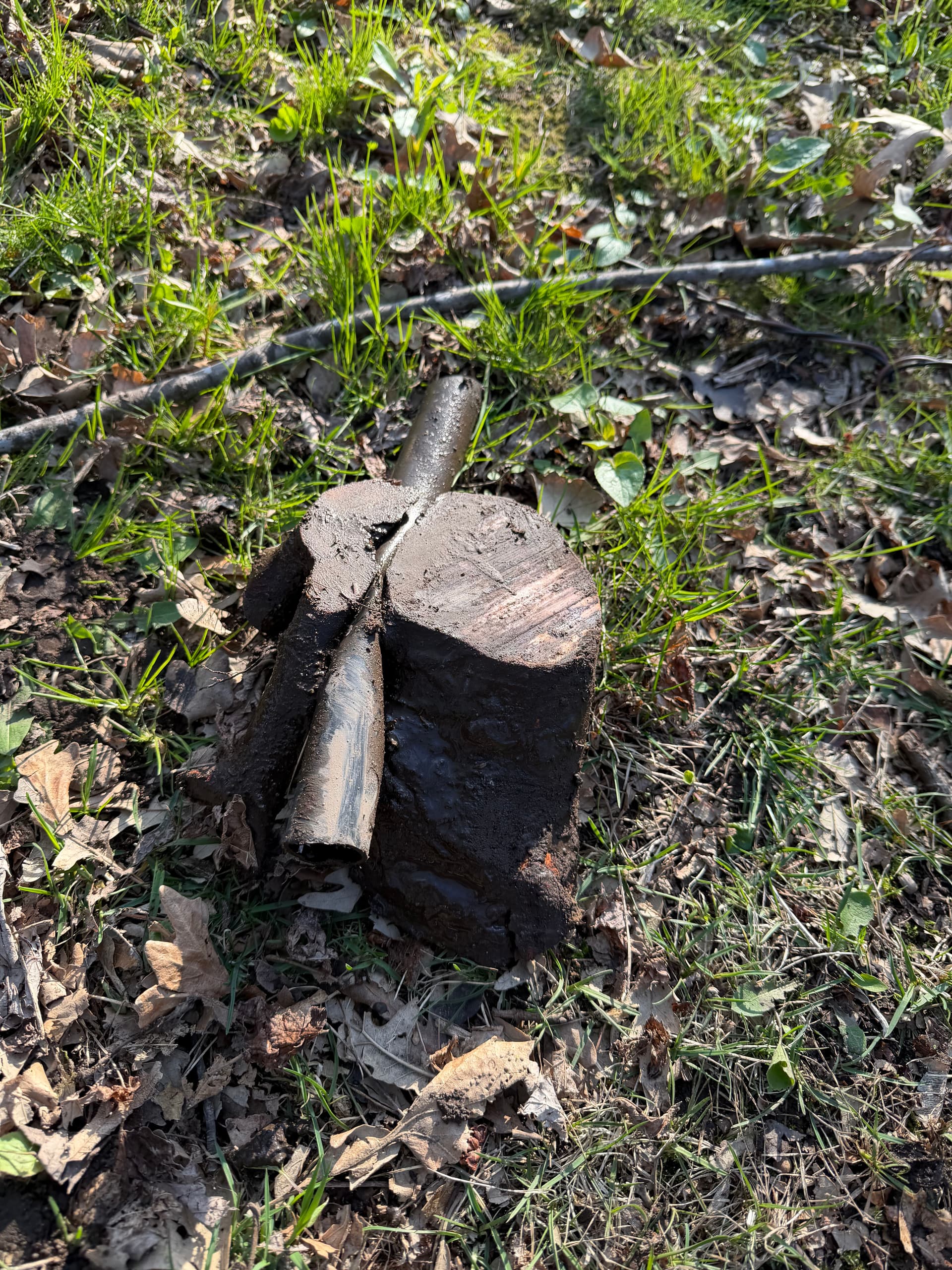 Tree Roots Crushed This Irrigation Line and Killed an Entire Zone image