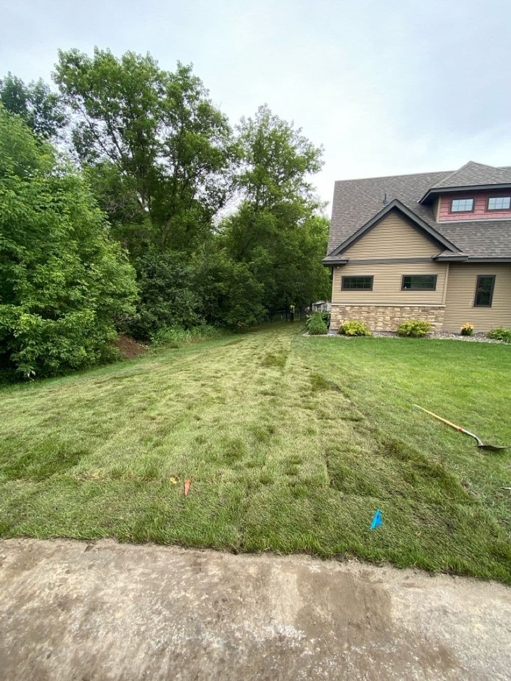 Well-maintained grassy lawn next to a house, bordered by lush trees and greenery.